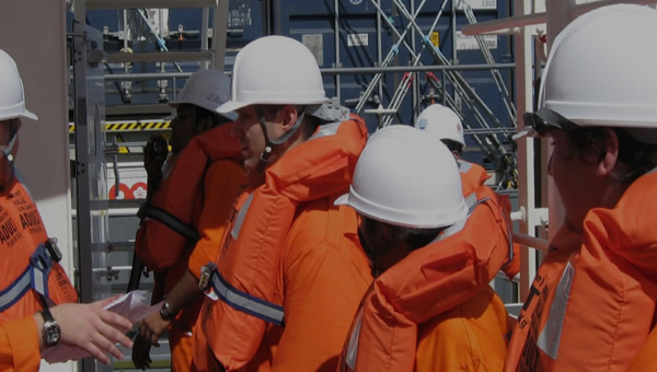 MESPAS joins forces with NETVISION to provide a leading-edge software package for technical ship management and crewing
